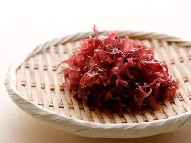 Red Algae