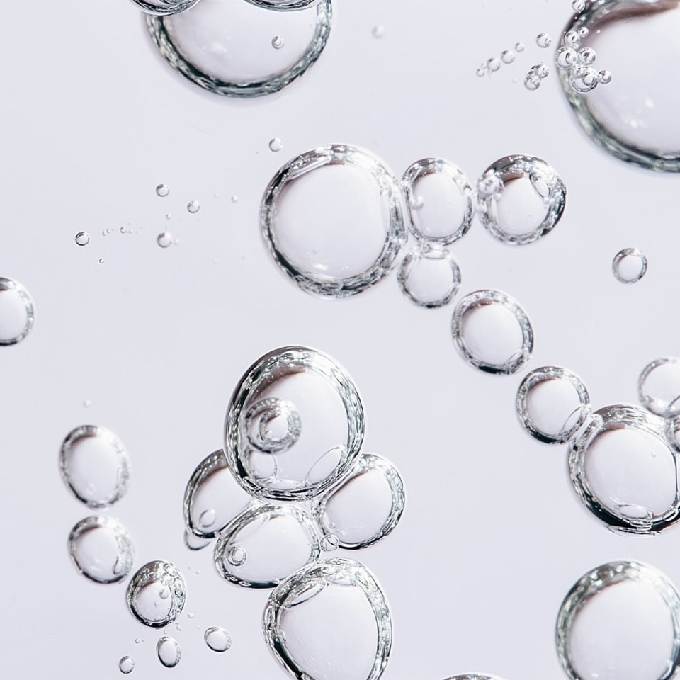 Hydrolyzed Elastin  +  Collagen Amino Acids