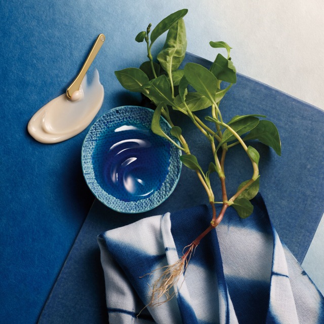 Indigo Overnight Repair texture shot with Indigo plant.