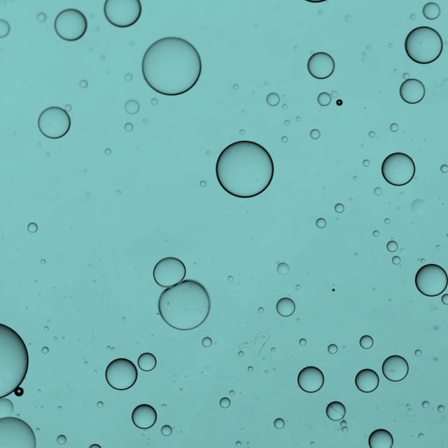 longevity serum ingredients