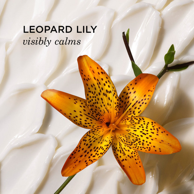 Biggu Clear Pores Duo